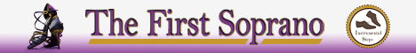 shoe-advert-web-banner